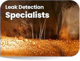Leak Detection La Crosse
